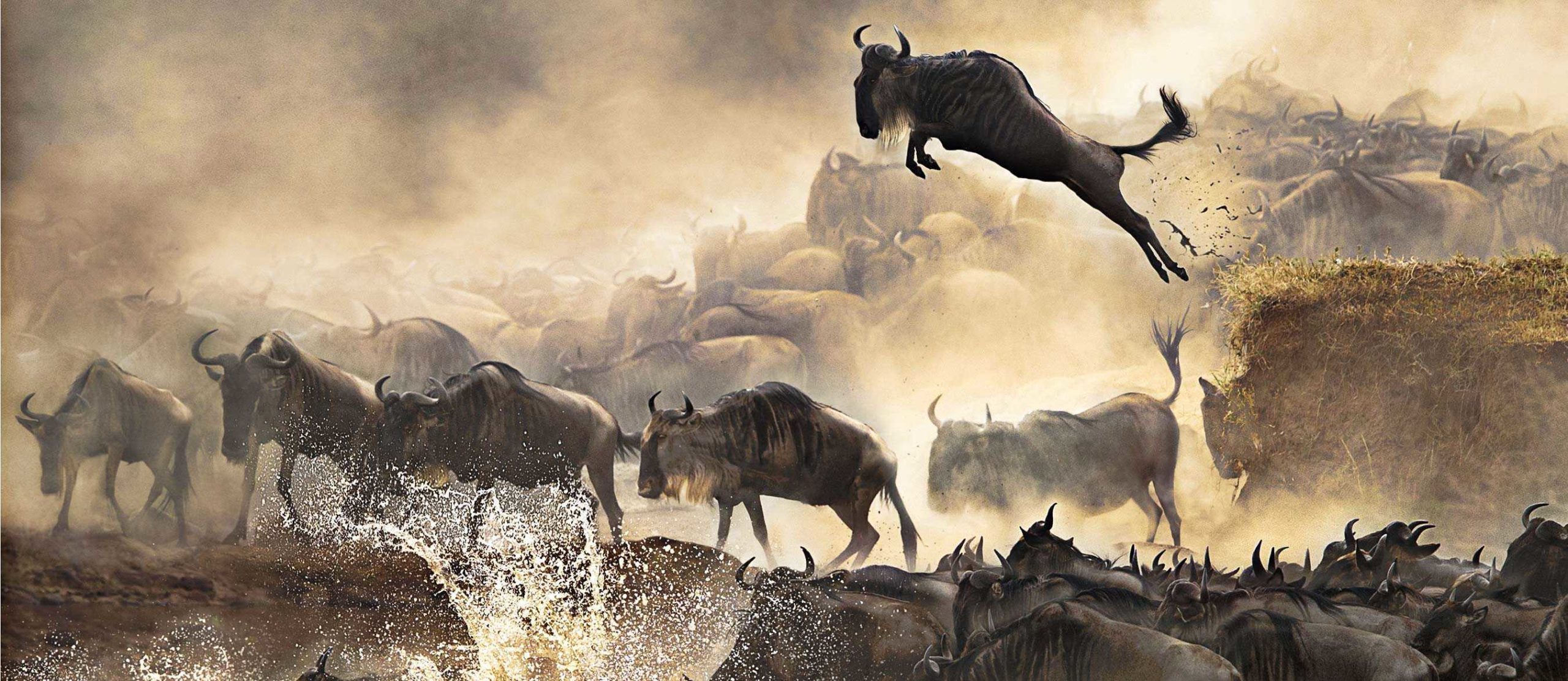 The-Wildebeest-Migration