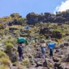 Climb Kilimanjaro Marangu Route 5 Days