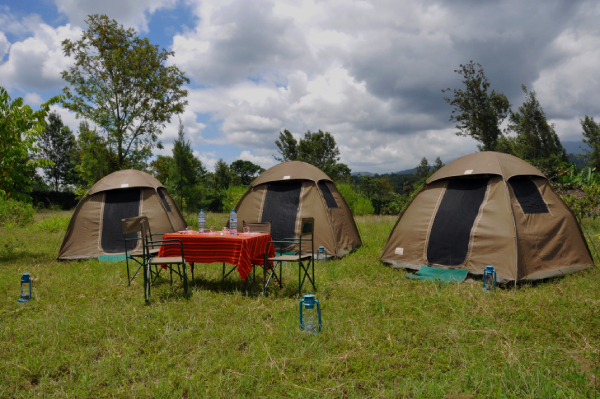 Camping Safari Featured Image