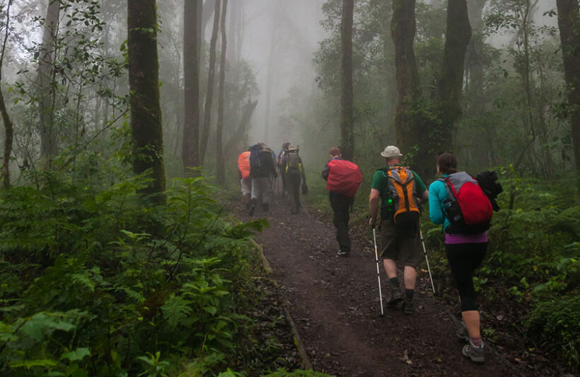 Kilimanjaro - Day Tour