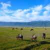 NGORONGORO CONSERVATION AREA