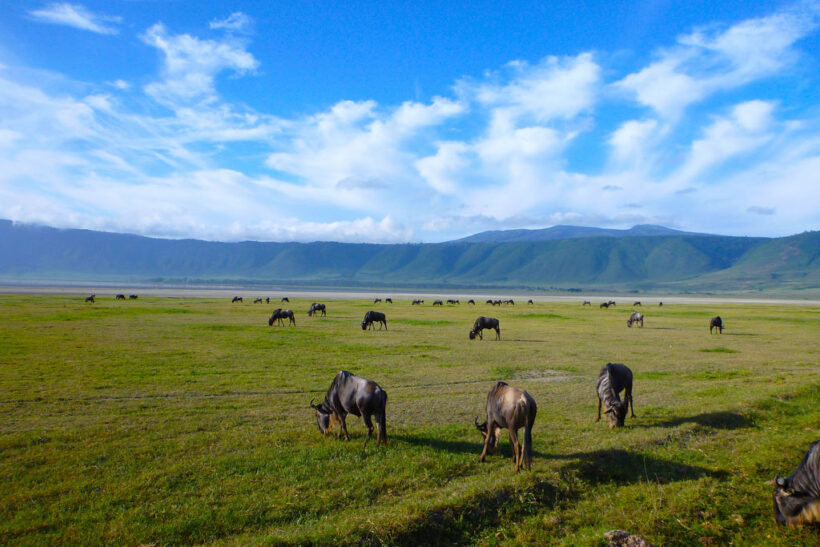 NGORONGORO CONSERVATION AREA