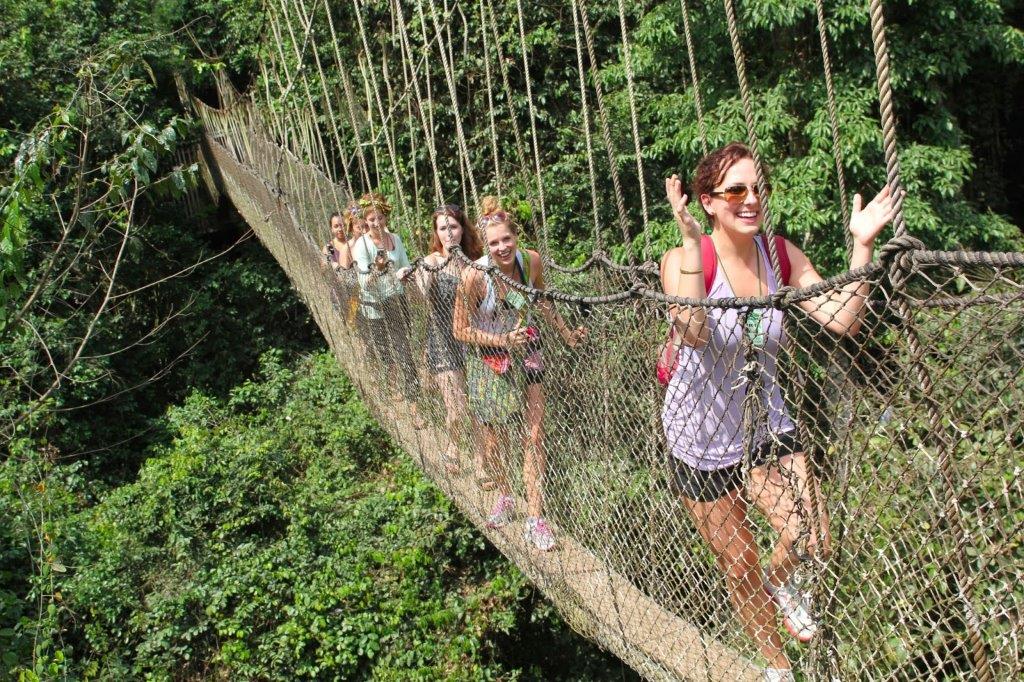 canopy-tour safaris