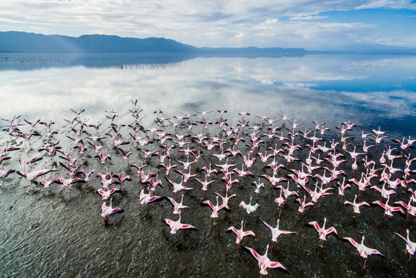 Lake-manyara-national-park-tanzania-Travelcation Africa Safaris